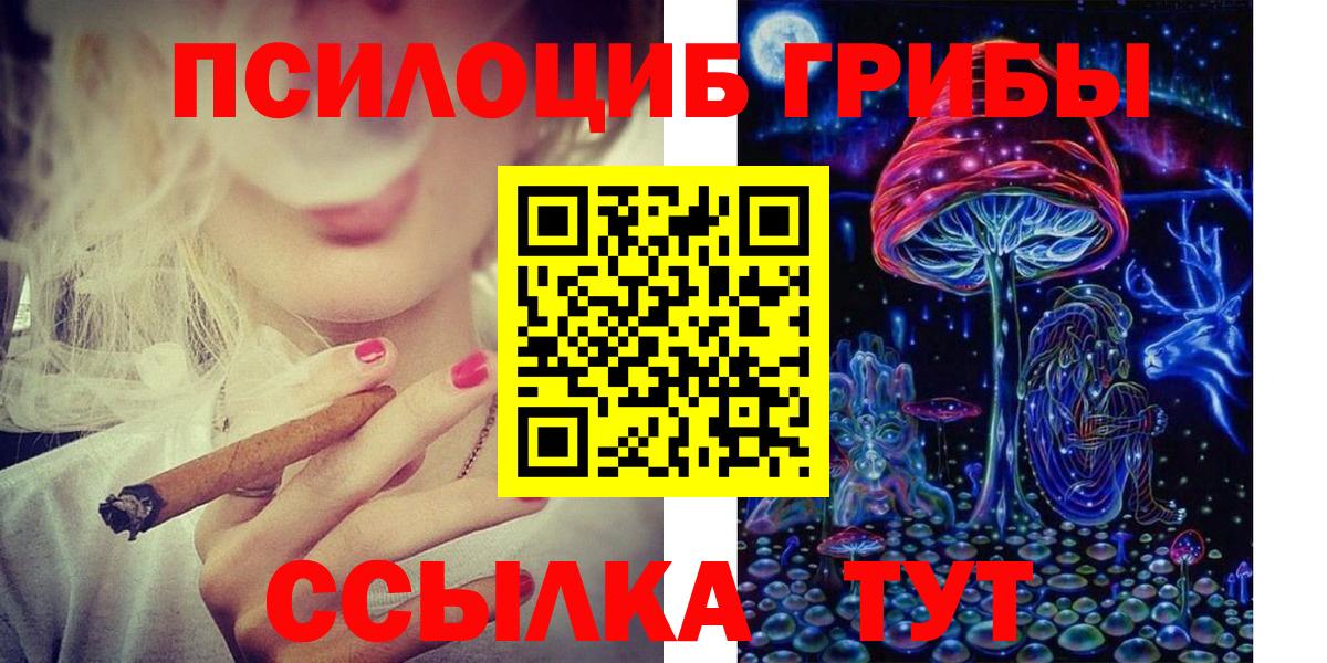 Галлюциногенные грибы Psilocybine cubensis  Галлюциногенные грибы прущие грибы  Магнитогорск  Вход с VPN 